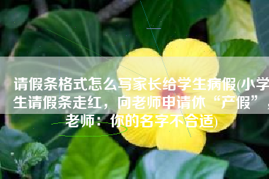 请假条格式怎么写家长给学生病假(小学生请假条走红，向老师申请休“产假”，老师：你的名字不合适)