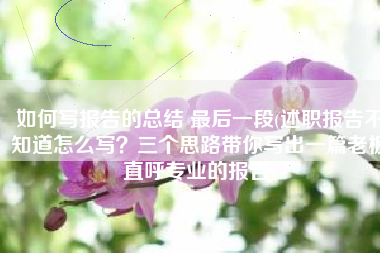 如何写报告的总结 最后一段(述职报告不知道怎么写？三个思路带你写出一篇老板直呼专业的报告)