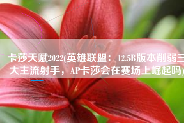 卡莎天赋2022(英雄联盟：12.5B版本削弱三大主流射手，AP卡莎会在赛场上崛起吗)