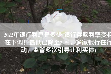 2022年银行利息是多少(银行存款利率变相在下调！最低已降至2.9%，多家银行在行动，监管多次引导让利实体)