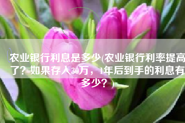 农业银行利息是多少(农业银行利率提高了？如果存入30万，1年后到手的利息有多少？)