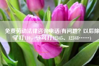 免费劳动法律咨询电话(有问题？以后除了打110，还可打12345、12348……)