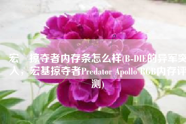 宏碁掠夺者内存条怎么样(B-DIE的异军突入，宏基掠夺者Predator Apollo RGB内存评测)