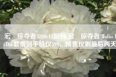 宏碁掠夺者3200c14超频(宏碁掠夺者 Talos B-Die套条到手价仅599，预售仅剩最后两天)