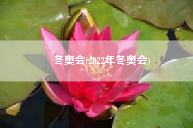 冬奥会(2022年冬奥会)