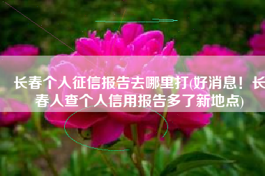 长春个人征信报告去哪里打(好消息！长春人查个人信用报告多了新地点)