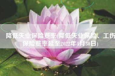 降低失业保险费率(降低失业保险、工伤保险费率延至2022年4月30日)