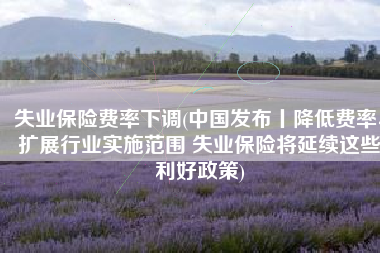 失业保险费率下调(中国发布丨降低费率、扩展行业实施范围 失业保险将延续这些利好政策)