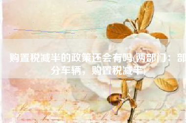 购置税减半的政策还会有吗(两部门：部分车辆，购置税减半)