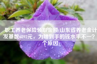 职工养老保险领取金额(山东省养老金计发基数6893元，为啥到手的钱水平不一？7个原因)
