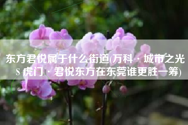 东方君悦属于什么街道(万科·城市之光 VS 虎门·君悦东方在东莞谁更胜一筹)