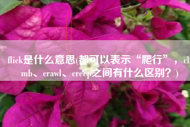 flick是什么意思(都可以表示“爬行”，climb、crawl、creep之间有什么区别？)