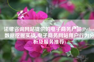 法律咨询网站提供的电子商务产品(Python数据挖掘实战-电子商务网站用户行为分析及服务推荐)