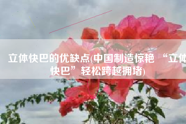 立体快巴的优缺点(中国制造惊艳 “立体快巴”轻松跨越拥堵)