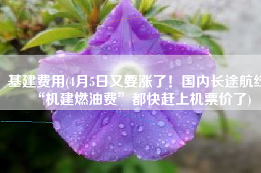 基建费用(4月5日又要涨了！国内长途航线“机建燃油费”都快赶上机票价了)