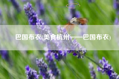 巴国布衣(美食杭州——巴国布衣)