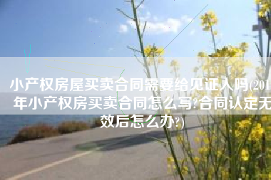 小产权房屋买卖合同需要给见证人吗(2019年小产权房买卖合同怎么写?合同认定无效后怎么办?)