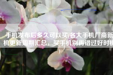 手机发布后多久可以买(各大手机厂商新机更新周期汇总，买手机别再错过好时机)