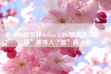 oclean x(欧可林Oclean X Pro旗舰版评测：“静”声夺人“智”高一筹)
