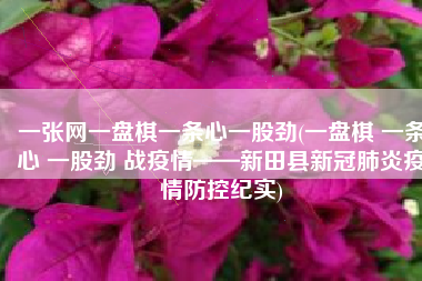 一张网一盘棋一条心一股劲(一盘棋 一条心 一股劲 战疫情——新田县新冠肺炎疫情防控纪实)