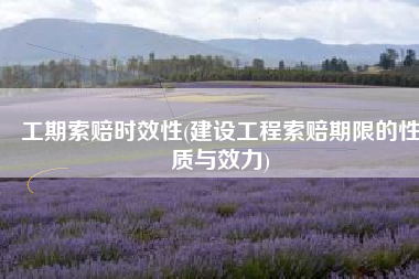 工期索赔时效性(建设工程索赔期限的性质与效力)