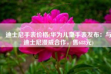 迪士尼手表价格(华为儿童手表发布：与迪士尼漫威合作，售688元)