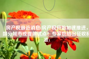 房产税最近消息(房产税开始加速推进，部分城市或提前试点！专家也给出征收标准)