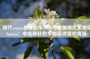 现代sonata是什么车(2020年美版现代索纳塔Sonata：中流砥柱的车型赢得客户青睐)