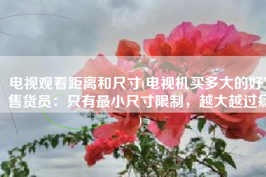 电视观看距离和尺寸(电视机买多大的好？售货员：只有最小尺寸限制，越大越过瘾)