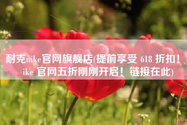 耐克nike官网旗舰店(提前享受 618 折扣！Nike 官网五折刚刚开启！链接在此)