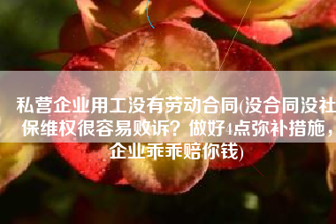 私营企业用工没有劳动合同(没合同没社保维权很容易败诉？做好4点弥补措施，企业乖乖赔你钱)