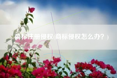 商标注册侵权(商标侵权怎么办？)