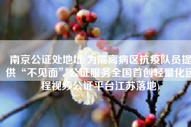 南京公证处地址(为隔离病区抗疫队员提供“不见面”公证服务全国首创轻量化远程视频公证平台江苏落地)