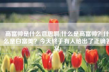 高富帅是什么意思啊(什么是高富帅？什么是白富美？今天终于有人给出了正确答案)