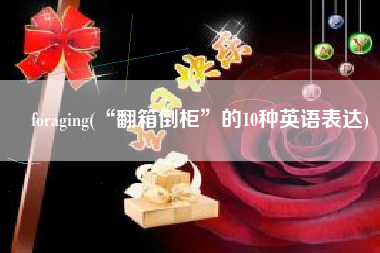 foraging(“翻箱倒柜”的10种英语表达)