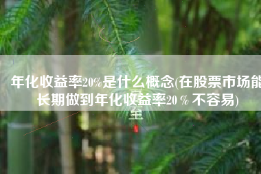 年化收益率20%是什么概念(在股票市场能长期做到年化收益率20％不容易)