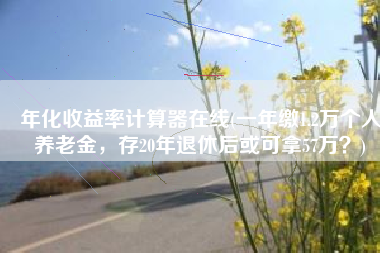 年化收益率计算器在线(一年缴1.2万个人养老金，存20年退休后或可拿57万？)