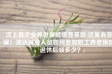 汶上县企业养老保险缴费基数(这里有答案！灵活就业人员如何参加职工养老保险，退休后领多少？)