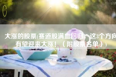 大涨的股票(赛道股满血回归，这3个方向有望迎来大涨！（附股票名单）)