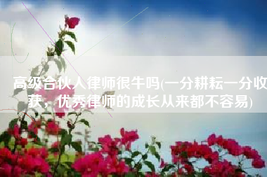 高级合伙人律师很牛吗(一分耕耘一分收获，优秀律师的成长从来都不容易)