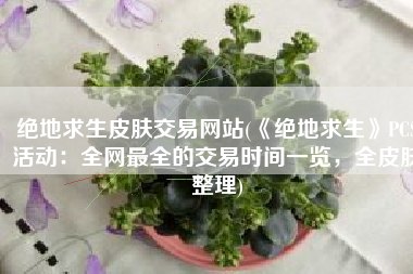 绝地求生皮肤交易网站(《绝地求生》PCS活动：全网最全的交易时间一览，全皮肤整理)