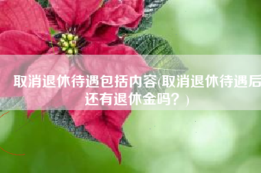 取消退休待遇包括内容(取消退休待遇后还有退休金吗？)