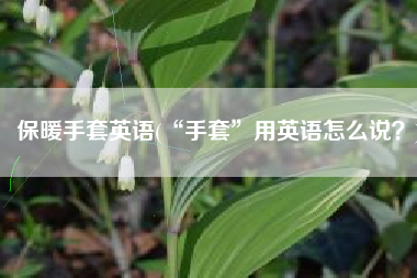 保暖手套英语(“手套”用英语怎么说？)