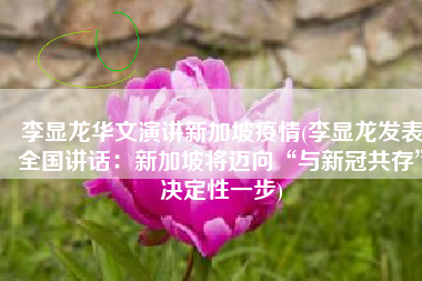 李显龙华文演讲新加坡疫情(李显龙发表全国讲话：新加坡将迈向“与新冠共存”决定性一步)