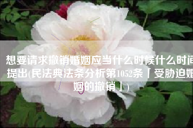 想要请求撤销婚姻应当什么时候什么时间提出(民法典法条分析第1052条「受胁迫婚姻的撤销」)