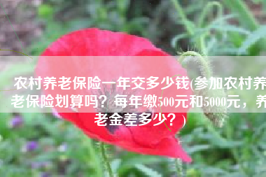 农村养老保险一年交多少钱(参加农村养老保险划算吗？每年缴500元和5000元，养老金差多少？)