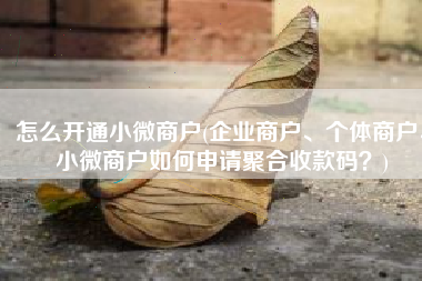 怎么开通小微商户(企业商户、个体商户、小微商户如何申请聚合收款码？)