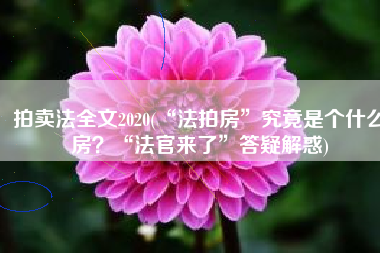 拍卖法全文2020(“法拍房”究竟是个什么房？“法官来了”答疑解惑)