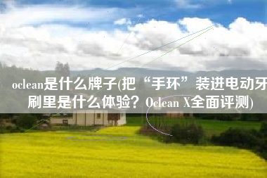 oclean是什么牌子(把“手环”装进电动牙刷里是什么体验？Oclean X全面评测)
