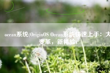 ocean系统(OriginOS Ocean系统快速上手：大变革，新体验)